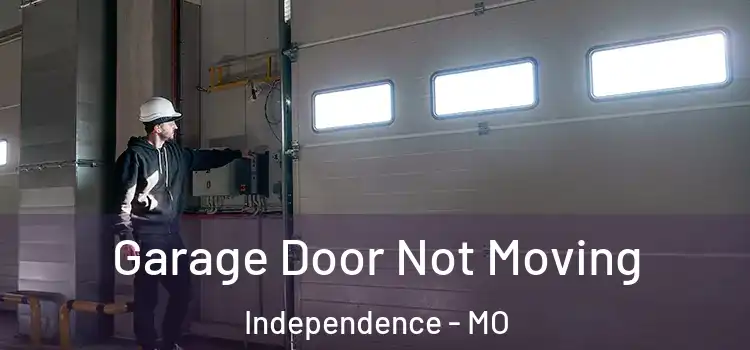  Garage Door Not Moving Independence - MO